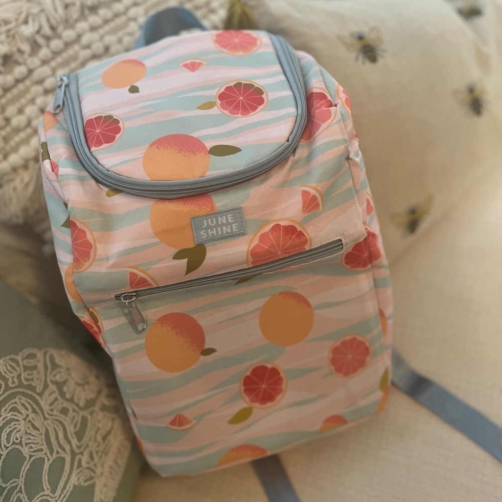 NWT June shine insulated cooler backpack